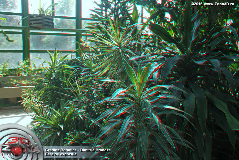 ZONA3D.ro