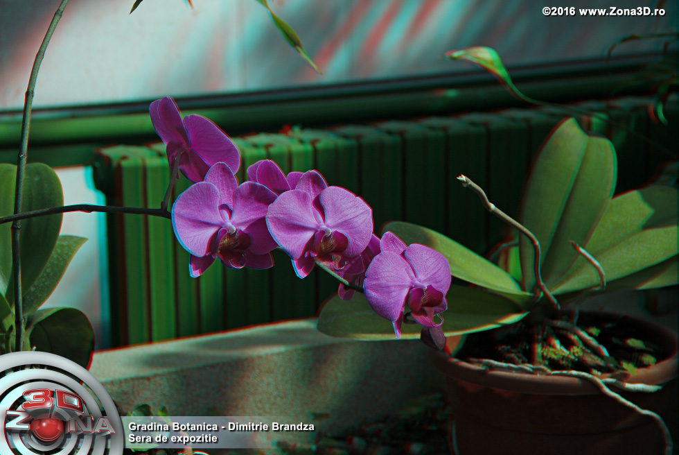ZONA3D.ro