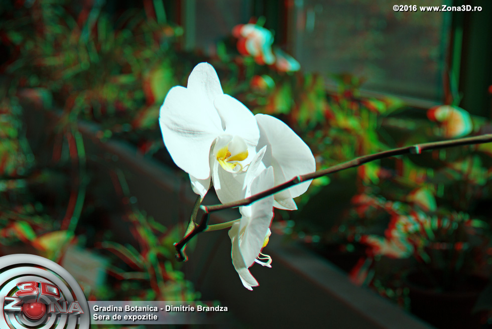 ZONA3D.ro