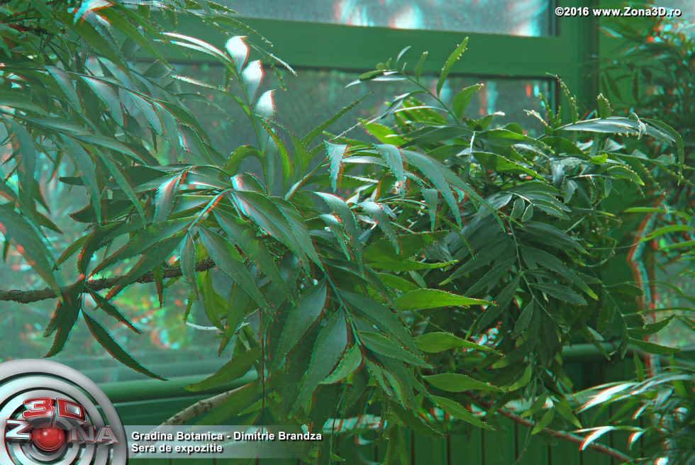 ZONA3D.ro