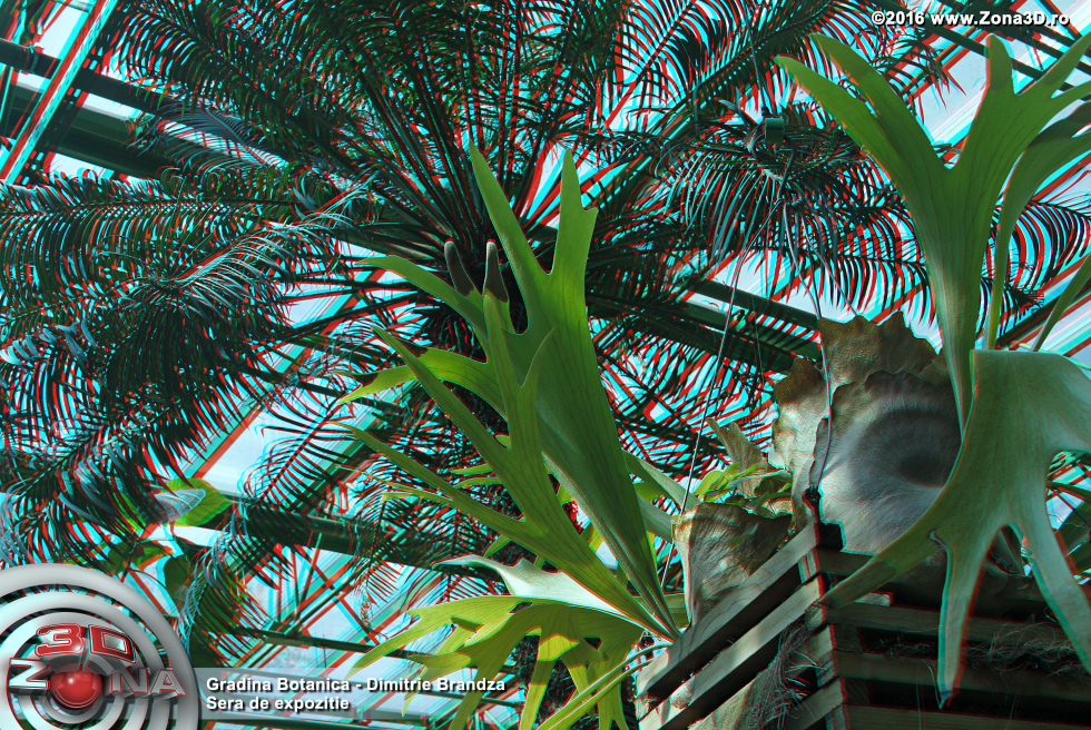 ZONA3D.ro