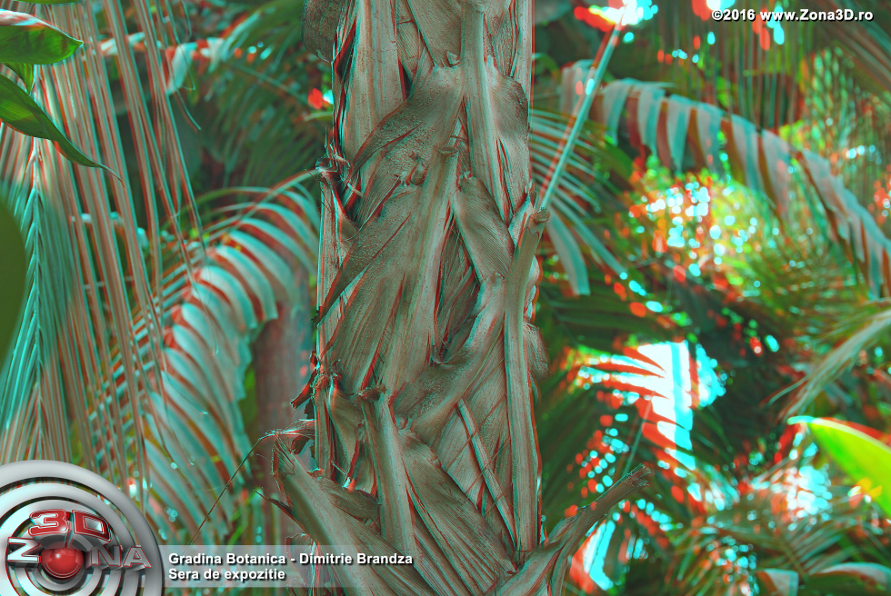 ZONA3D.ro