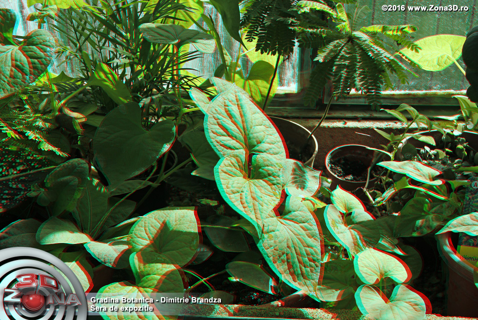 ZONA3D.ro