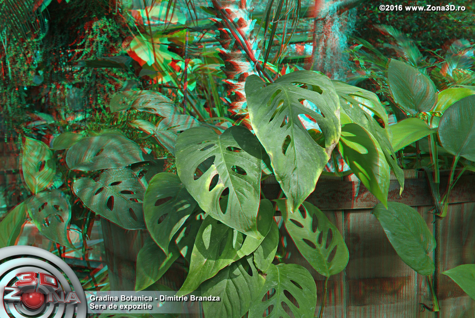 ZONA3D.ro