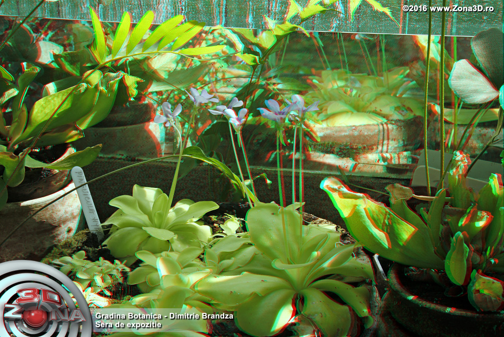 ZONA3D.ro