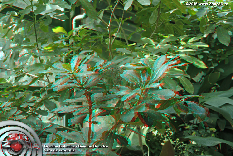 ZONA3D.ro