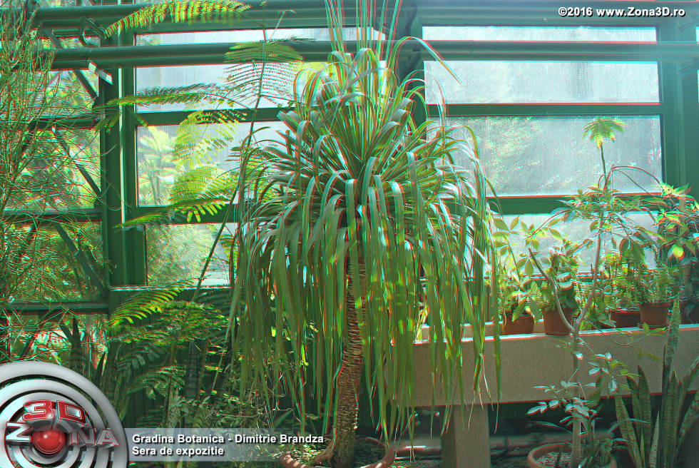 ZONA3D.ro