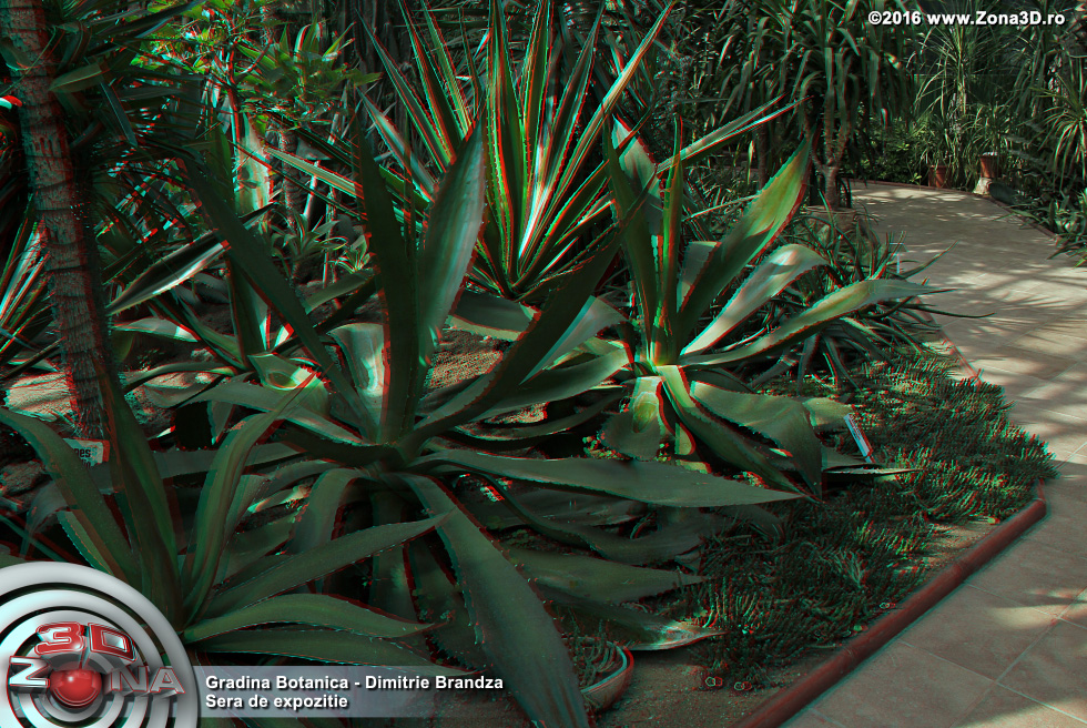 ZONA3D.ro
