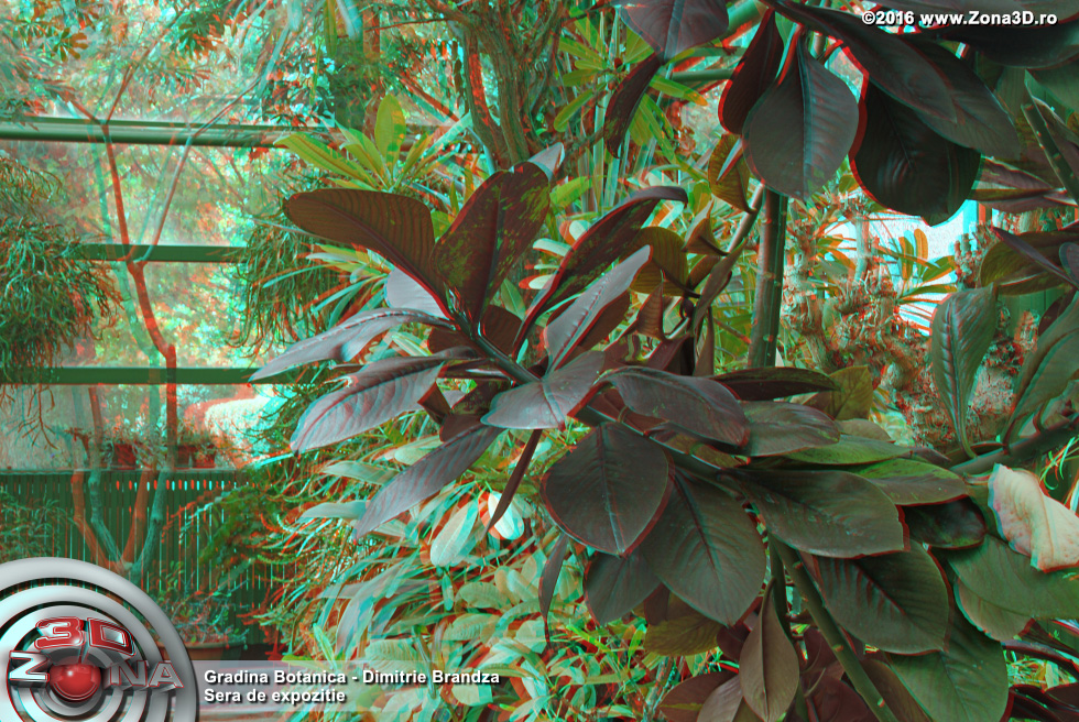 ZONA3D.ro