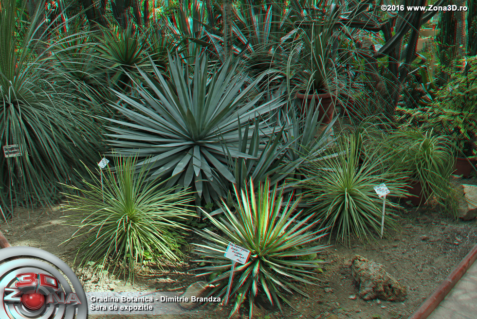 ZONA3D.ro