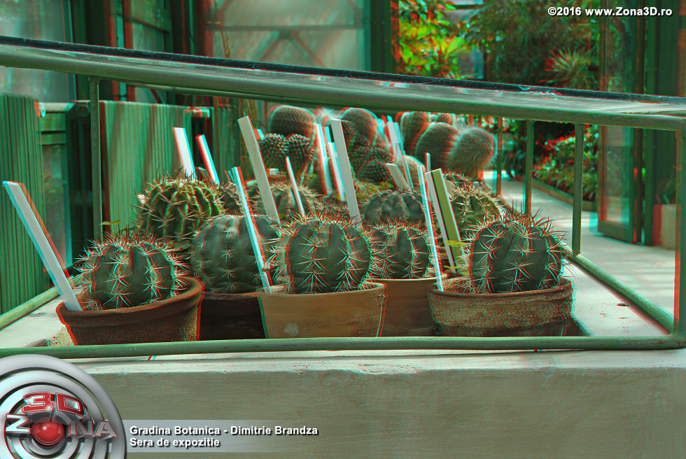 ZONA3D.ro
