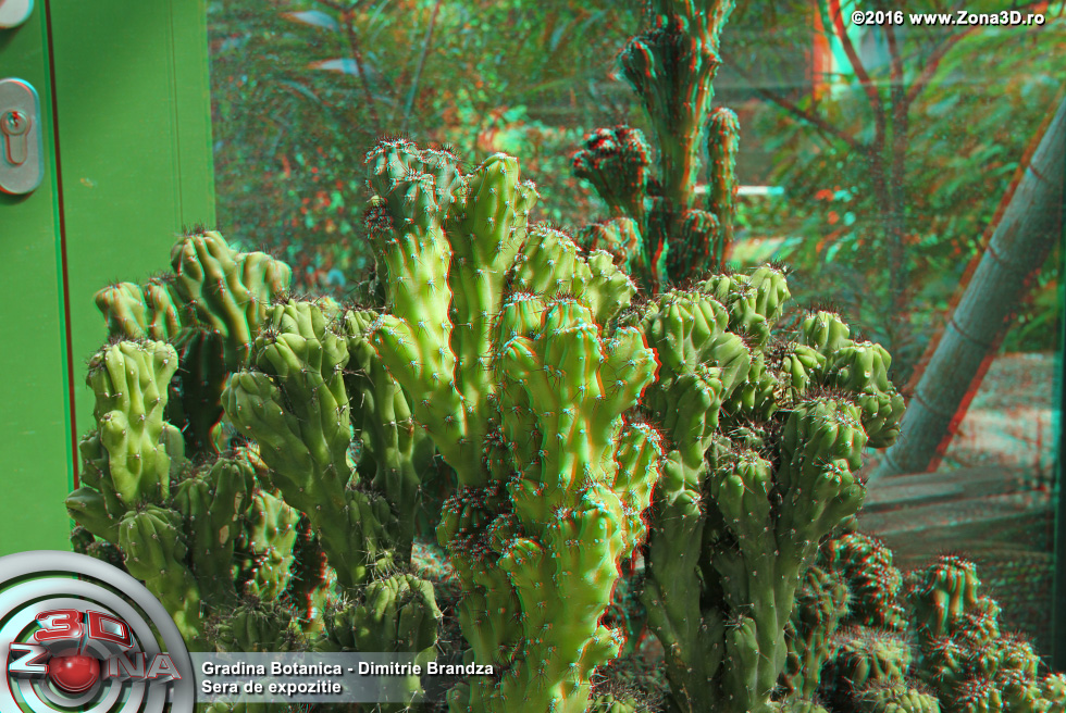 ZONA3D.ro