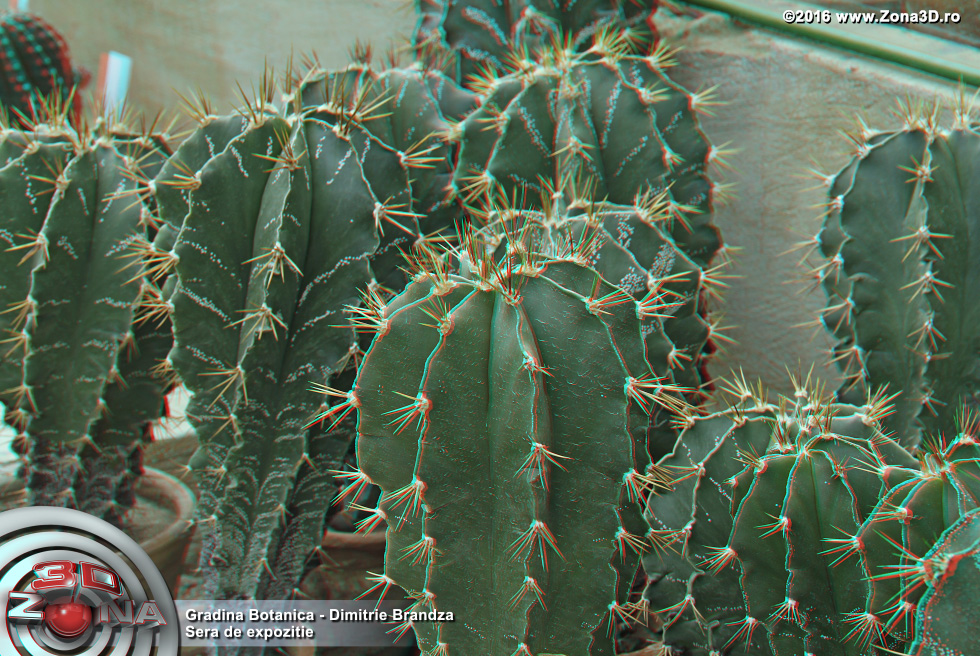 ZONA3D.ro