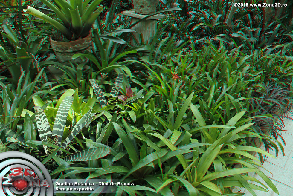 ZONA3D.ro