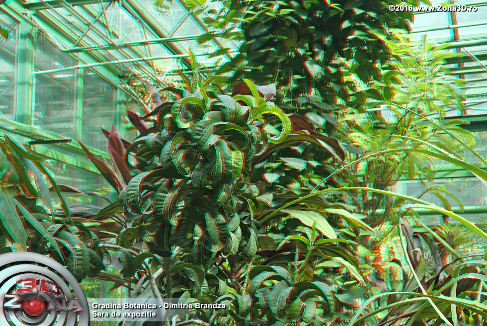 ZONA3D.ro