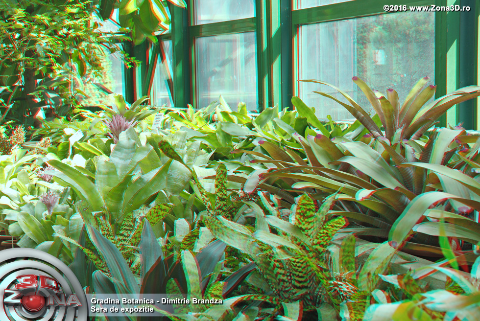 ZONA3D.ro