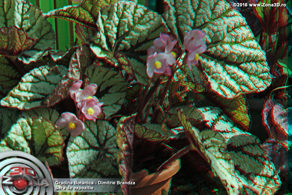 ZONA3D.ro