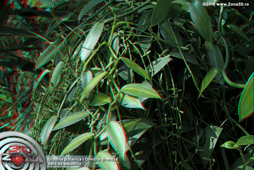 ZONA3D.ro