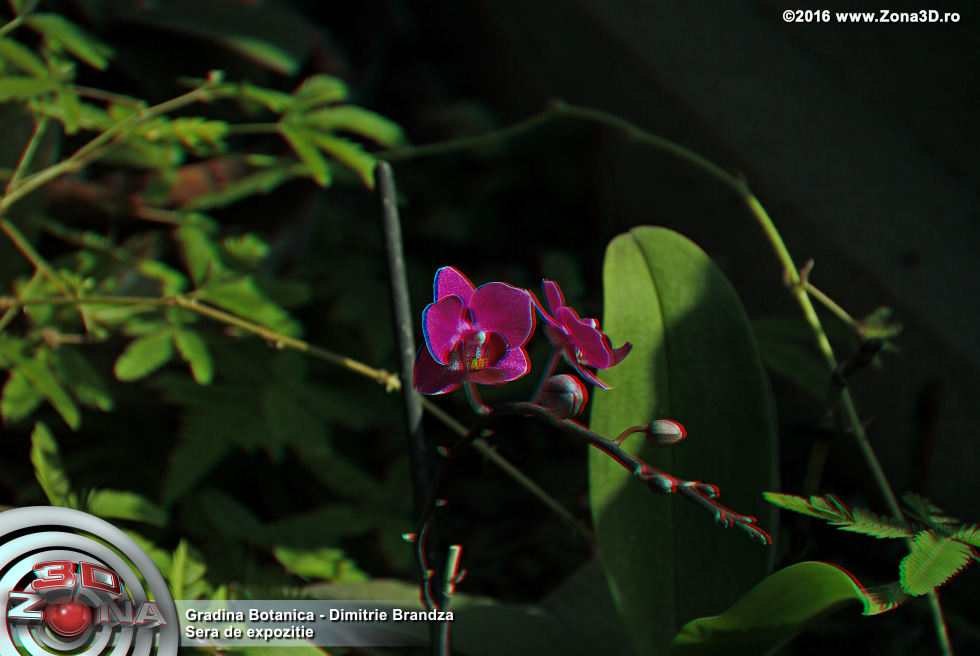 ZONA3D.ro