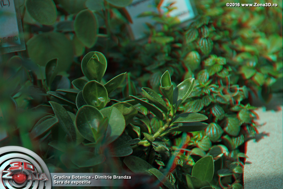 ZONA3D.ro