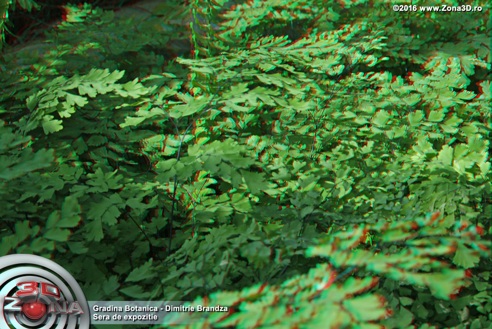 ZONA3D.ro