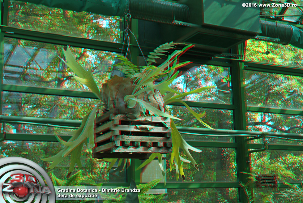 ZONA3D.ro