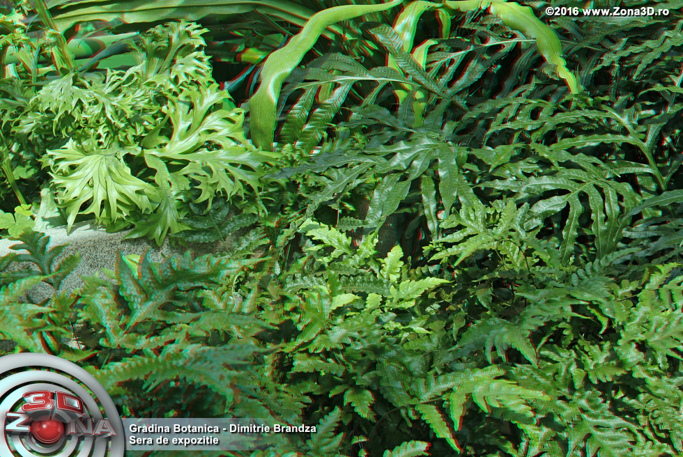 ZONA3D.ro