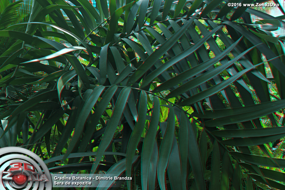 ZONA3D.ro