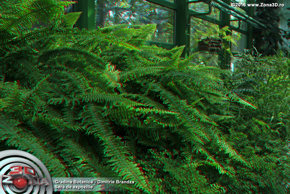 ZONA3D.ro