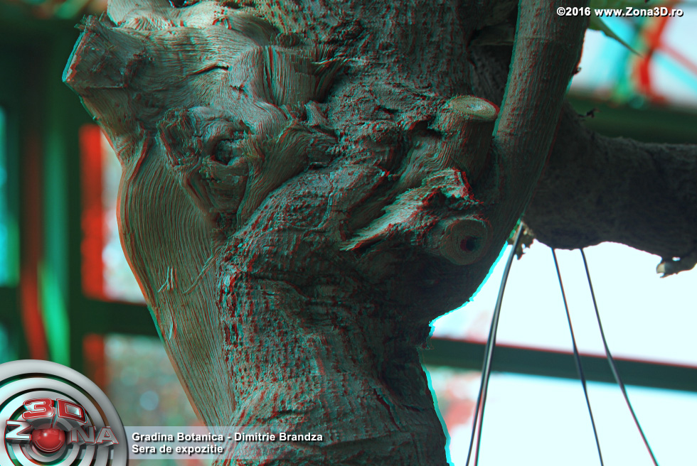 ZONA3D.ro