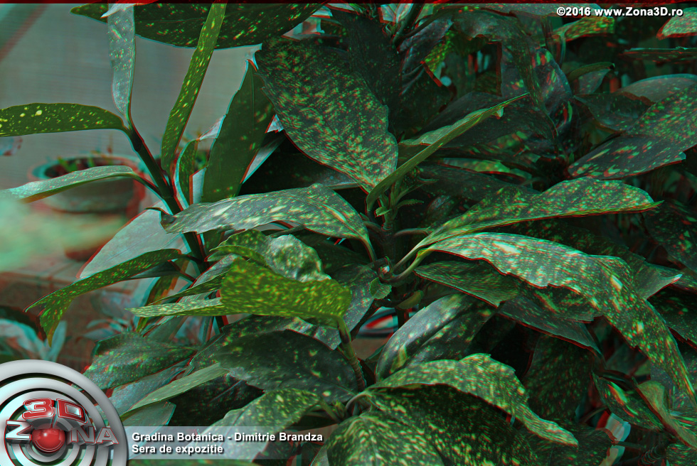 ZONA3D.ro