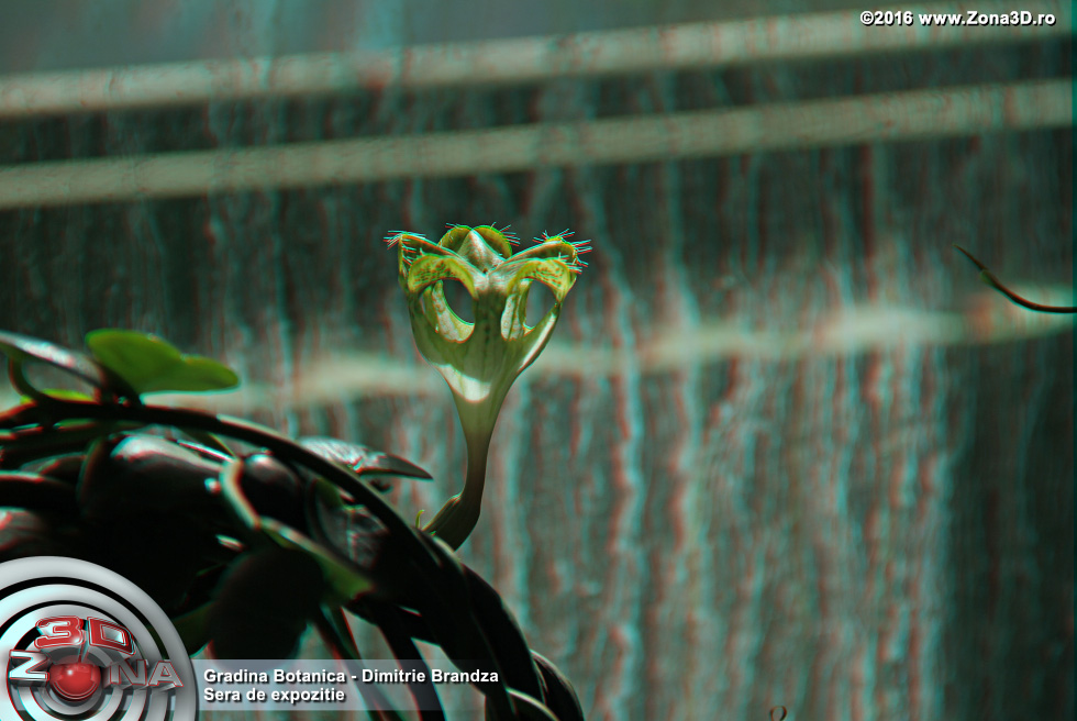 ZONA3D.ro
