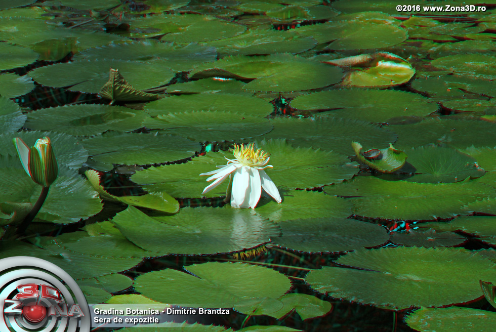 ZONA3D.ro