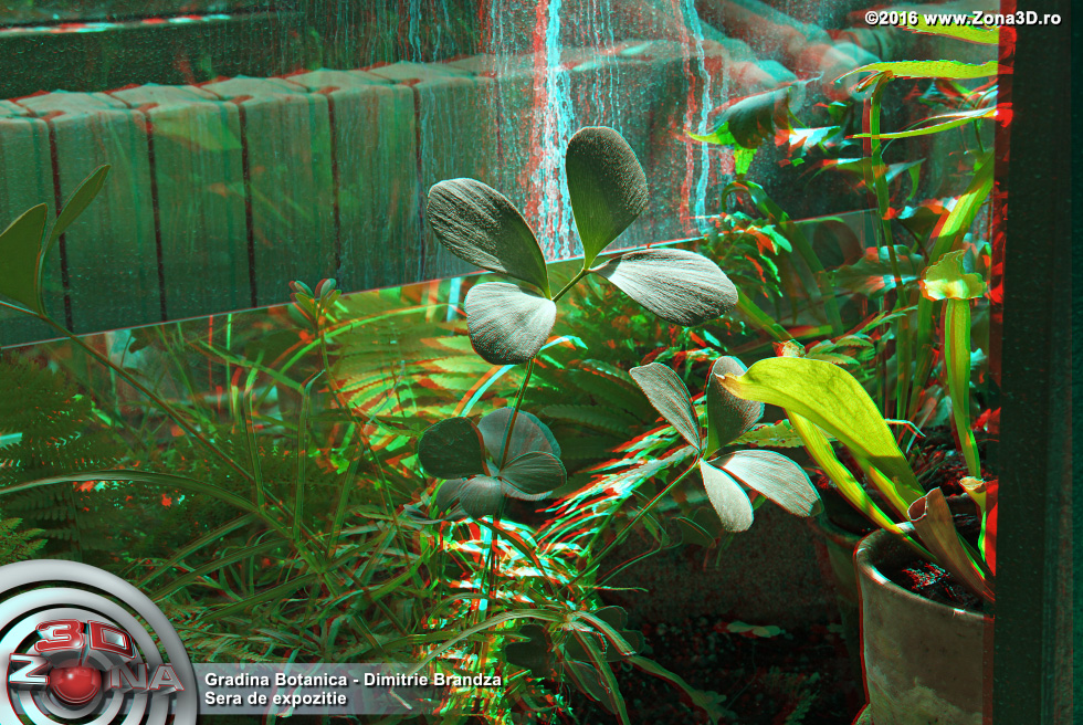ZONA3D.ro