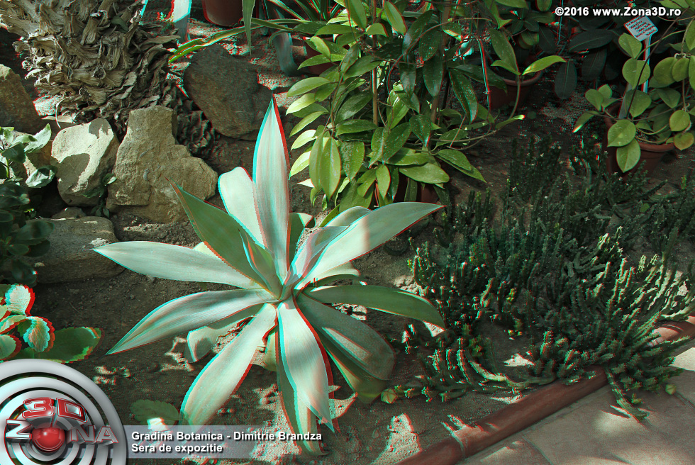 ZONA3D.ro