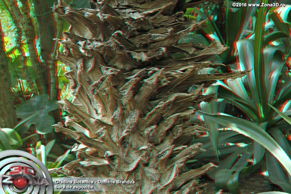 ZONA3D.ro
