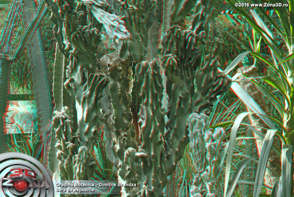 ZONA3D.ro