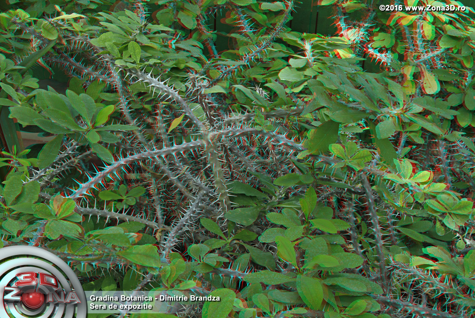 ZONA3D.ro