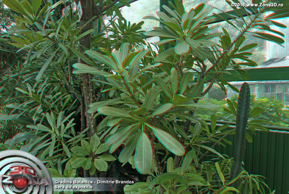 ZONA3D.ro