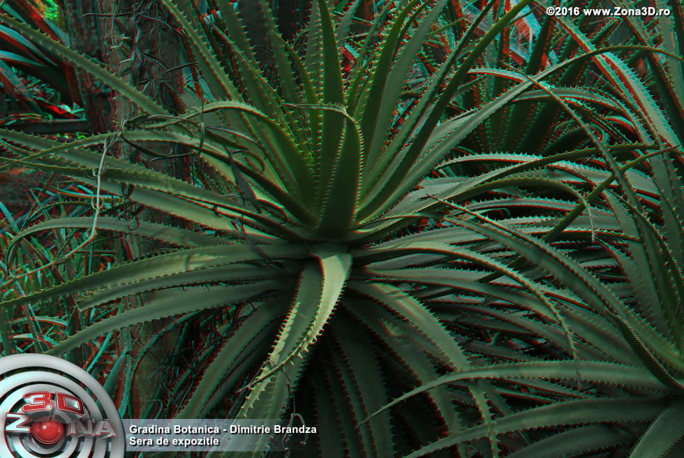 ZONA3D.ro