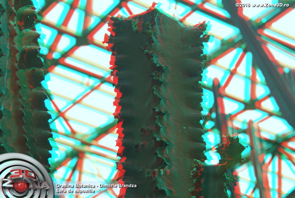 ZONA3D.ro