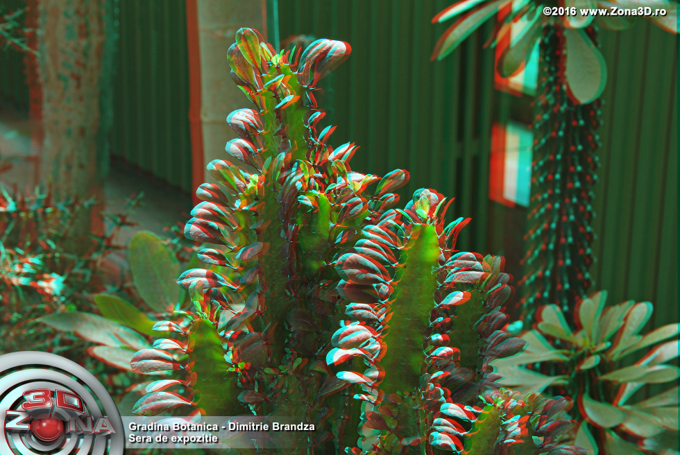 ZONA3D.ro