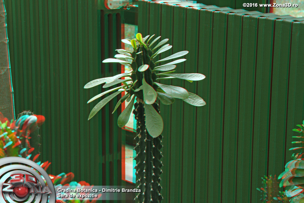 ZONA3D.ro