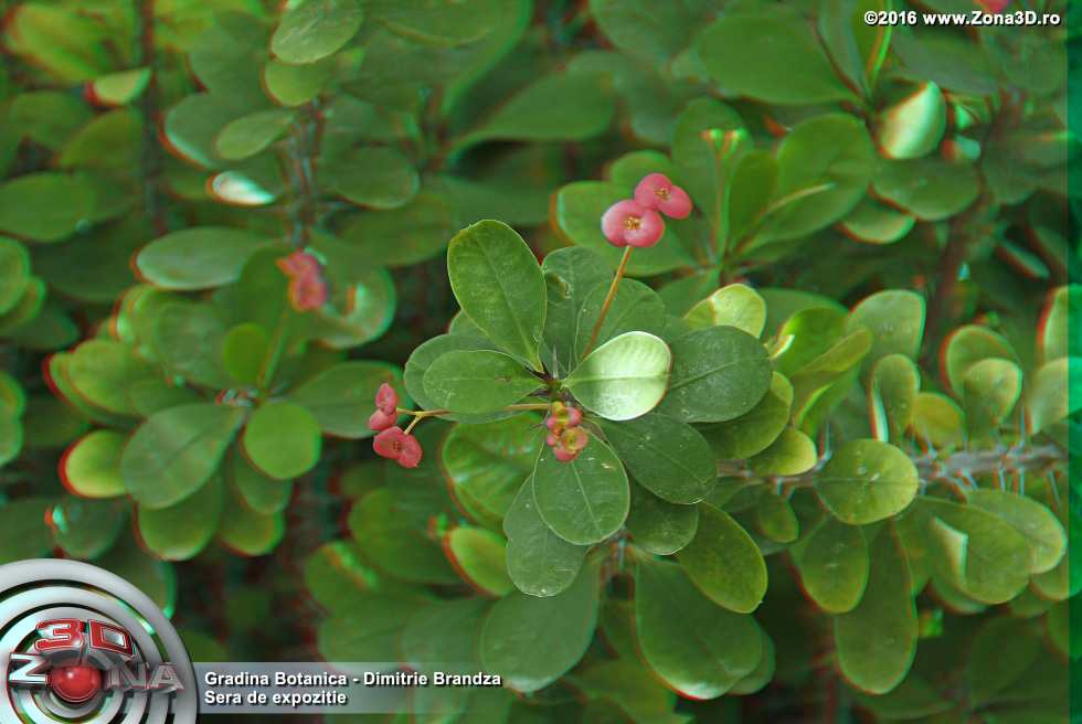 ZONA3D.ro