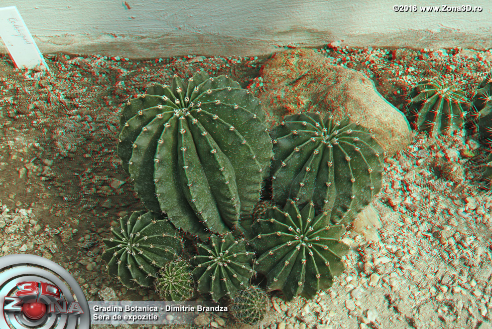 ZONA3D.ro