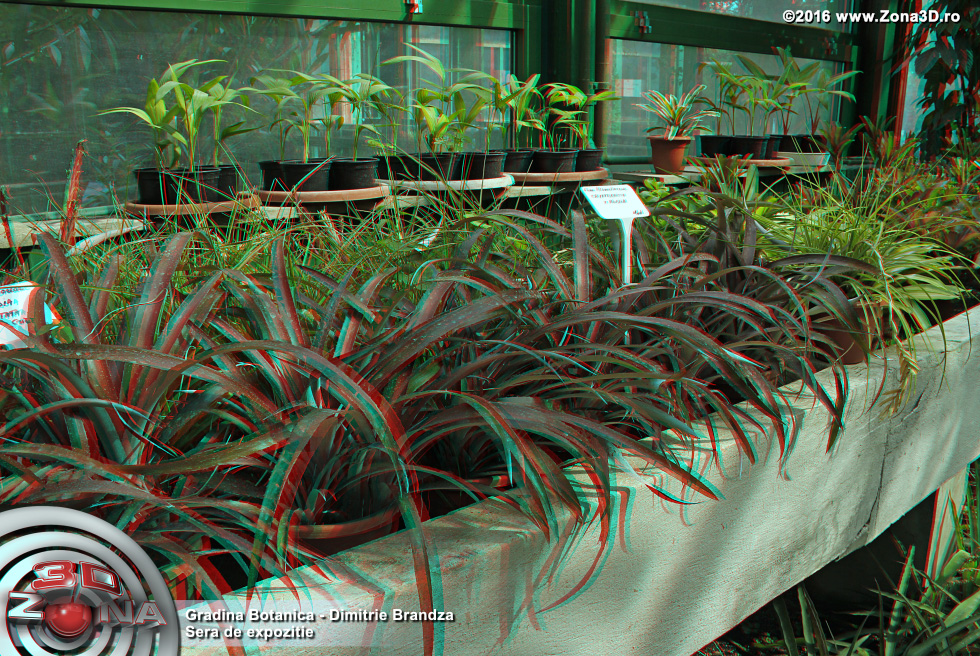 ZONA3D.ro
