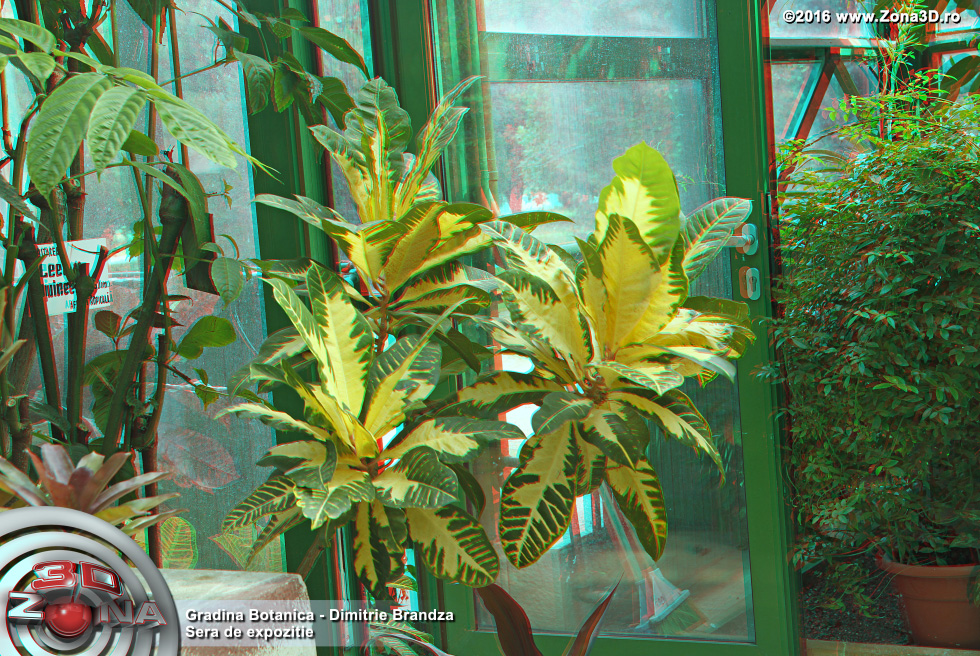ZONA3D.ro