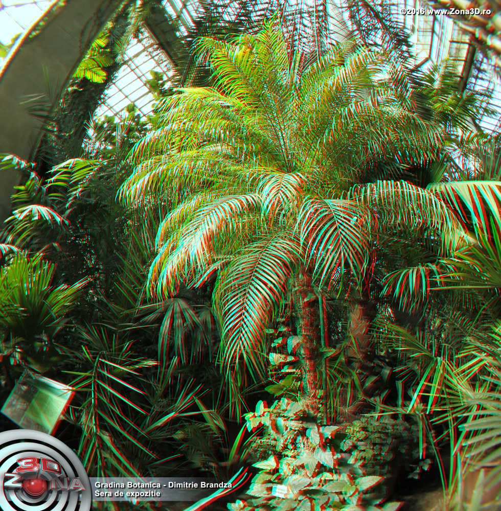 ZONA3D.ro