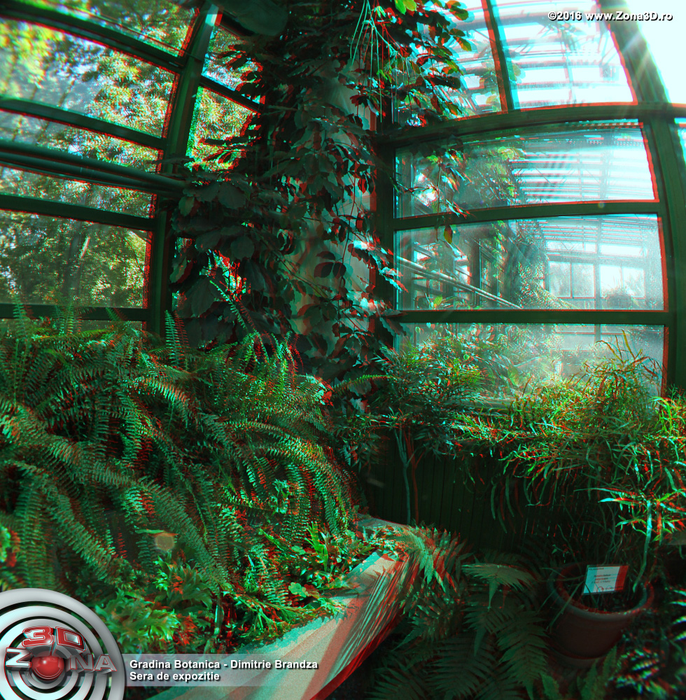 ZONA3D.ro