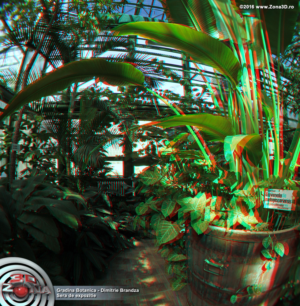 ZONA3D.ro